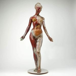 Meet your Posher, Abraham